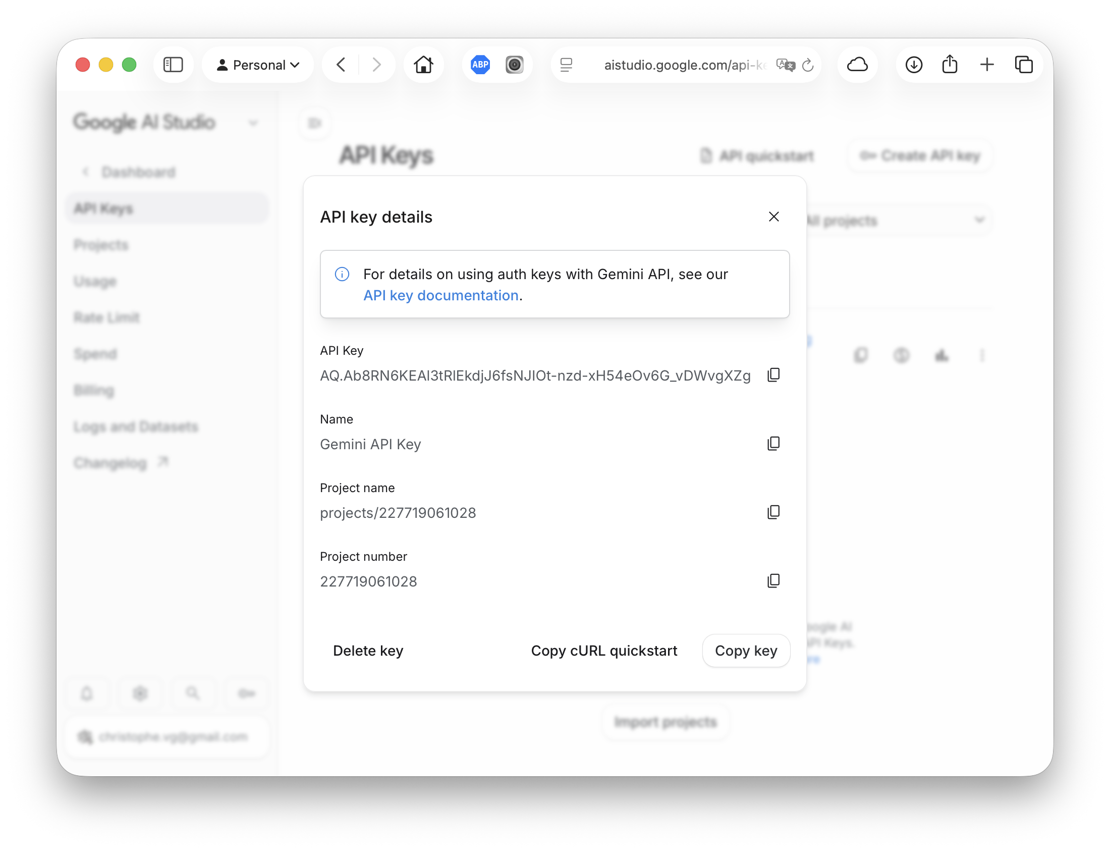 Google AI Studio API key ready